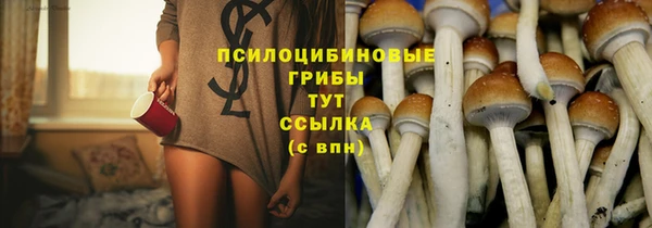гашик Нефтегорск