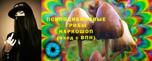 гашик Нефтегорск