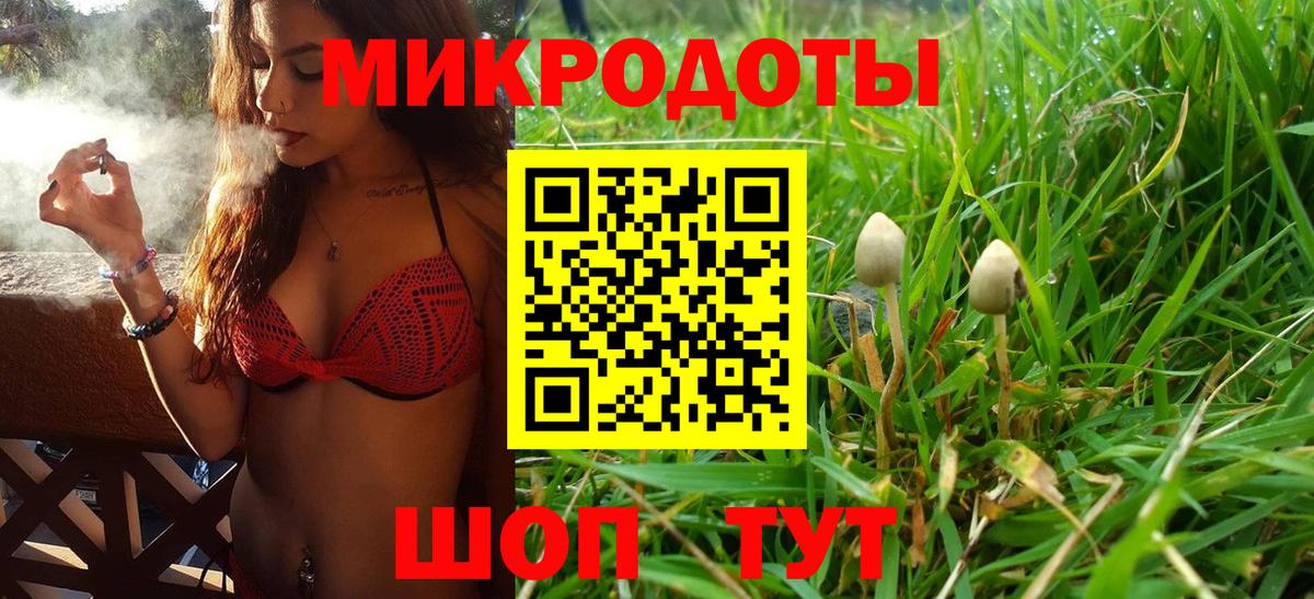 Серов  Псилоцибиновые грибы Magic Shrooms  Вход с VPN  Псилоцибиновые грибы мицелий 