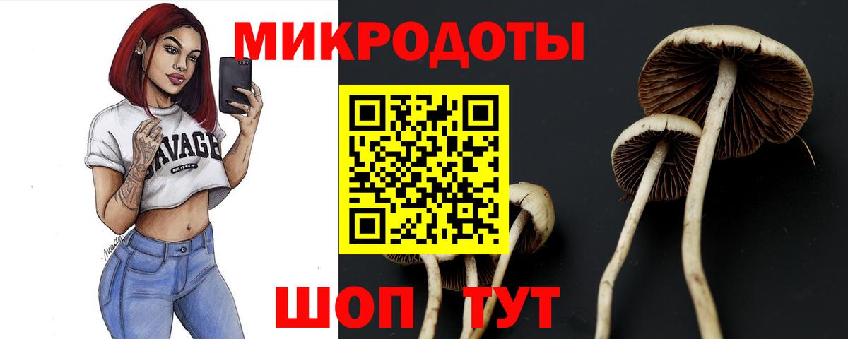 Псилоцибиновые грибы Psilocybine cubensis Серов